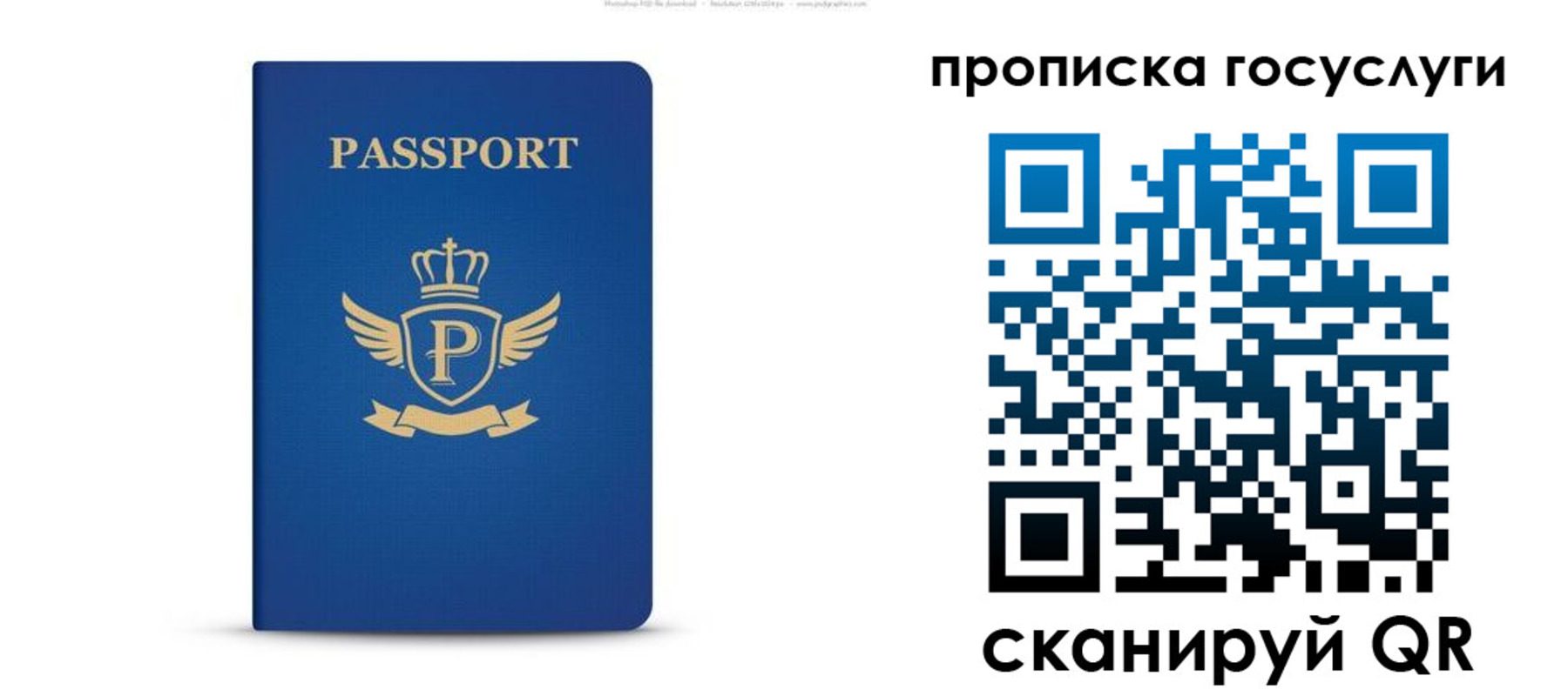 прописка для школы в Высоковске